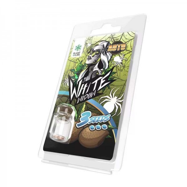 3 Graines White Widow AUTO | Plant of Life