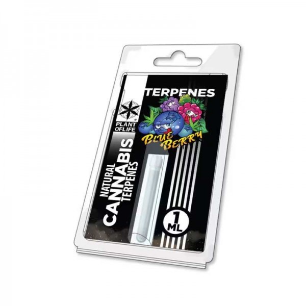 Terpène Blueberry Diesel | PLANT OF LIFE