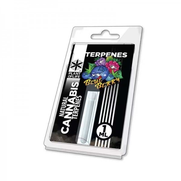 Terpène Blueberry Diesel | PLANT OF LIFE