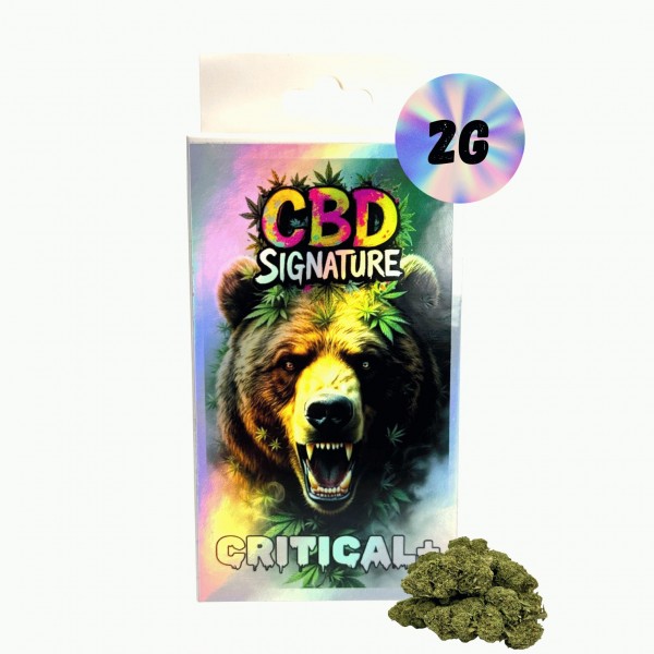 Fleur de CBD Critical+ 2G - CBD Signature