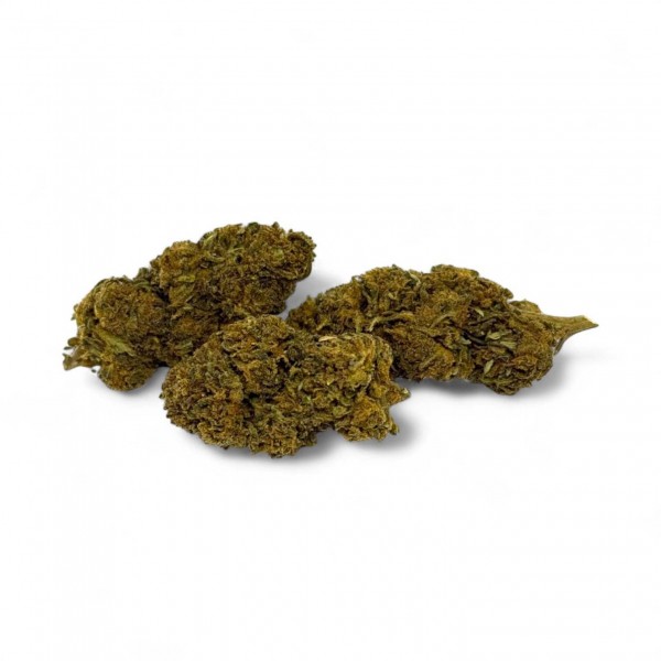 Fleur de CBD Gorilla Greenhouse